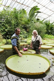Monty Don (l.) und David Knott in dem Royal Botanic Garden.