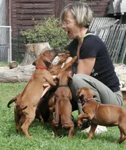 Deckrüdenbesitzerin Michaela bei der Welpenbegrüßung. Wie man sieht, ist auf beiden Seiten die Freude sehr groß!