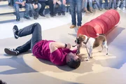 Oh wie süß!: Elton hat Spaß mit dem Hundewelpen im "1, 2 oder 3"-Studio.