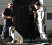 Der schwangere Popstar Ashlee Simpson (M.) bittet Cesar (l.) um Hilfe. Sie und ihr Mann Pete Wentz (r.) vergöttern die englische Bulldogge Hemingway, wäre da nicht ihr aggressives Verhalten.