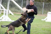 Training session with Officer Jay Thompson and police canine.