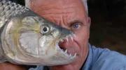 Jeremy Wade mit dem Tigersalmler, Okavango River, Botswana