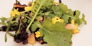 Rotkrautsalat und Kräuter, Kreation von James Lowe
