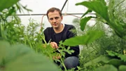 James beim Kräuter- und Salatpflücken auf der Keveral Farm