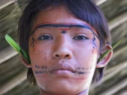 Blattschmuck statt Ohrringen bei einem jungen Yanomami.