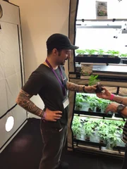 Cultiva