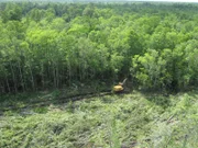 Fourth generation logger Bobby Goodson is one of the rare breed of swamp-loggers working the murky, dangerous swamps of North Carolina in search of high value timber for everything from paper products to construction grade lumber.