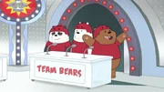 L-R: Panda, Ice bear, Grizzly
