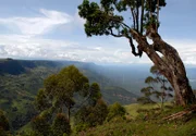 Das afrikanische Rift Valley ist ein Ort der Superlative: Mehr als 6.000 Kilometer lang, reicht es vom Jordantal bis nach Ostafrika.