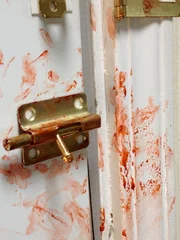 ?Stephanie Mills? had multiple locks on her door to trap Teka.