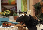 35 Uhr vom NDR im Ersten. Feli hat für ein Picknick eine Möhrentorte gebacken. Pferd erhält die ehrenvolle Aufgabe, darauf aufzupassen.