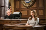 Judge Al Bertuccio (Vincent Curatola), Laura Collett (Paula Marshall)