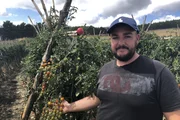 Gabriel baut Cherry Tomaten an