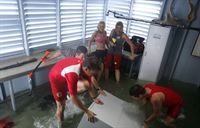 shark attack – sie lauern in der tiefe! shark attack – sie lauern in der tiefe!