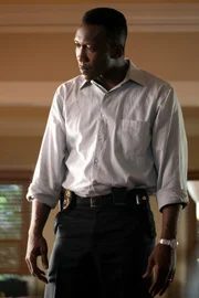 Detective Wayne Hays (Mahershala Ali)