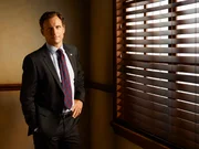 Tony Goldwyn as President Fitzgerald Grant.