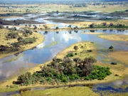 Im Okavango Delta sorgt die kurze Regenzeit zwischen Dezember und April für einige Überschwemmungen ...