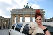 Lena Braun ist Trendsetterin! Vor allem wenn es um das Aufpeppen von antiken Möbeln geht, hat sie ein gutes Händchen und verhilft ausrangierten Möbeln zu neuem Glanz.