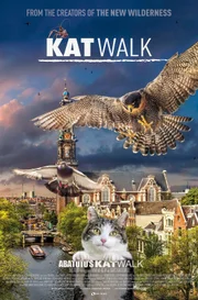Amsterdam: Streifzug auf Katzenpfoten zeigt eine der lebhaftesten und dynamischsten Metropolen Europas aus dem Blickwinkel ihrer tierischen Bewohner.