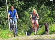 Patricia aus Gelsenkirchen hatte schon viele Hunde in ihrem Leben, aber keiner zuvor bereitete der gelernten Gärtnermeisterin so viele Sorgen wie ihr aktueller Vierbeiner "Thilo": Kann Martin Rütter dabei helfen, dass eine Radtour mit Hund noch möglich wird?