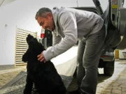 Cesar Millan ist auf großer Hundeflüsterer-Mission quer durch Großbritannien ...