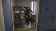 N.J.- K9 in action during shakedown at Bergen County Jail.