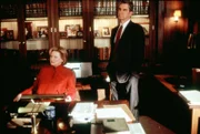 Bezirksstaatsanwältin Nora Lewin (Dianne Wiest) und Staatsanwalt Jack McCoy (Sam Waterston) untersuchen die Entführung eines Diamantenhändlers und kommen dabei auf die Spur eines Diamantendiebstahls...