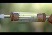 Eine innovative Mückenfalle imitiert die menschliche Atmung.
