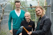 Spix-Aras gelten in freier Wildbahn als ausgestorben. Katrin Scholtyssek (Mi.) erklärt den "Xenius"-Moderatoren Emilie und Adrian, dass diese Papageien in einem Verein nahe Berlin gezüchtet werden, um sie in Brasilien wieder auszuwildern.