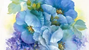 Schöhnheit in blau
