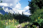 Blick auf den Wetterstein.