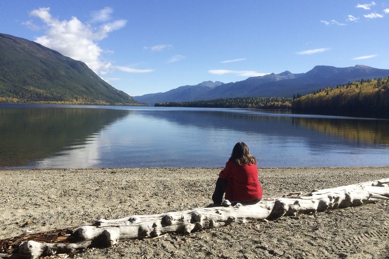 Goldgr&auml;ber und Grizzlyb&auml;ren