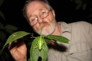 Dr. George McGavin mit einem Dschungelinsekt