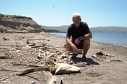 Jeremy Wade crouching down on the beach of Spawn of Jaws with bones around him.