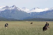 Filmteam mit Bären in Alaska.
