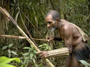 PHOENIX WAFFEN DES FORTSCHRITTS TEIL 1, "Der Garten Eden", am Freitag (16.11.12) um 20:15 Uhr.
Lebensgrundlage unserer frühen Vorfahren, das Jagen und Sammeln lassen sich noch heute in Papua Neuguinea studieren