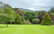 Park, English Garden.