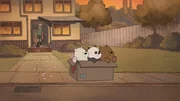 L-R: Ice Bear, Panda, Grizzly