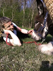rbb Fernsehen KESSLERS EXPEDITION, TEIL 3, "Mit dem Esel an die Ostsee", am Freitag (07.10.11) um 20:15 Uhr.
In der dritten Folge wandern Michael Kessler und Esel Elias durch die einsame Uckermark und machen Bekanntschaft mit Schlangen, Fröschen und Wildgänsen.