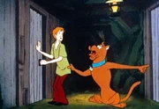 Scooby-Doo (r.) und Shaggy (l.) sind auf Gespensterjagd.