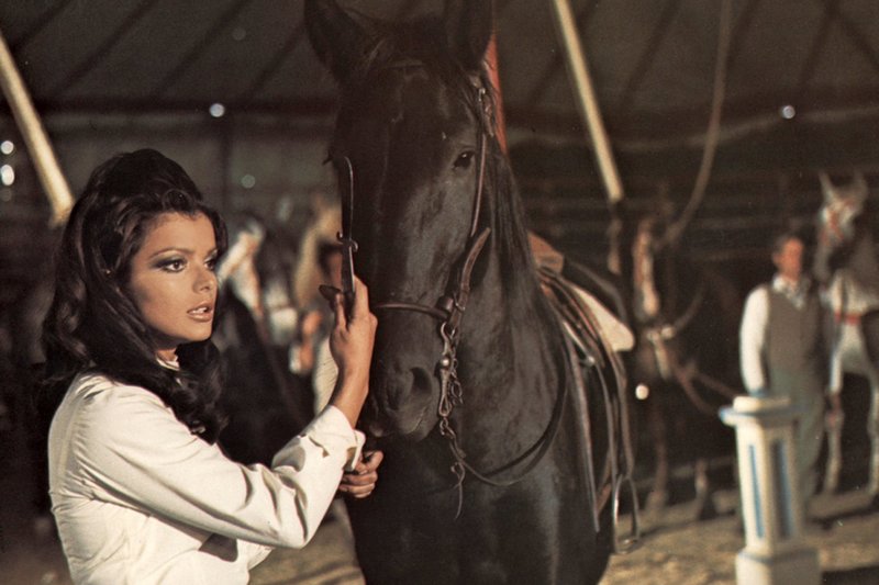 Black Beauty (GB/E/D, 1971) Streams, TV-Termine, News ...