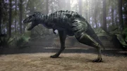 Nach der Entdeckung von zersplitterten Knochen eines kleinen T-Rex identifizierten Experten den Angreifer als Nanotyrannus.