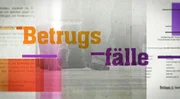 Betrugsfälle
