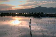 Honshu - der Biwa-See im Abendlicht