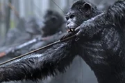 Andy Serkis (Caesar)