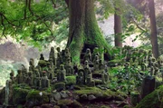 Kultstätte im Tachikue-Tal