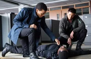 Almost Human I_3 (2)