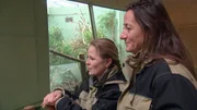 Dr. Christina Geiger (rechts) und Dr. Nicole Schauerte kümmern sich im Zoo Frankfurt um die großen und die kleinen Zoo-Bewohner und ihre Bedürfnisse.