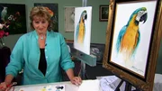 Blaugoldener Ara mit Kathwren Jenkins.