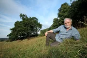 Der Insektenkundler George McGavin, Forscher an der Universität in Oxford, untersucht im Rahmen eines einzigartigen Experiments über ein Jahr hinweg den Organismus einer 400 Jahre alten Eiche.